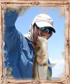 Charlotte Harbor Fishing Charters